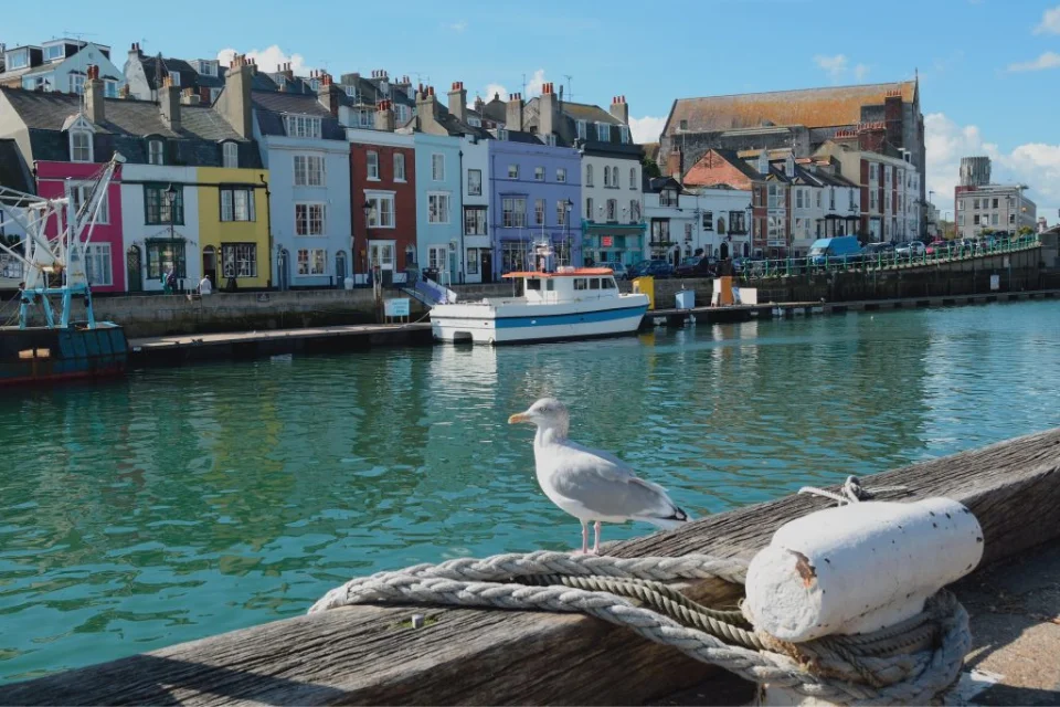 Instagrammable Places in Dorset
