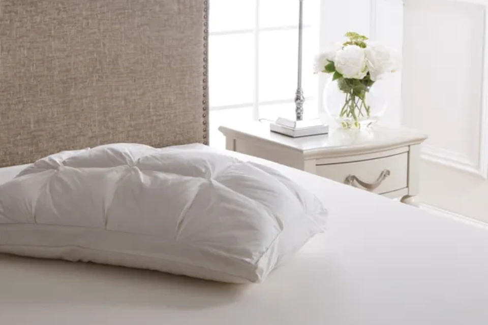 Dorma Dream Deluxe Pillow
