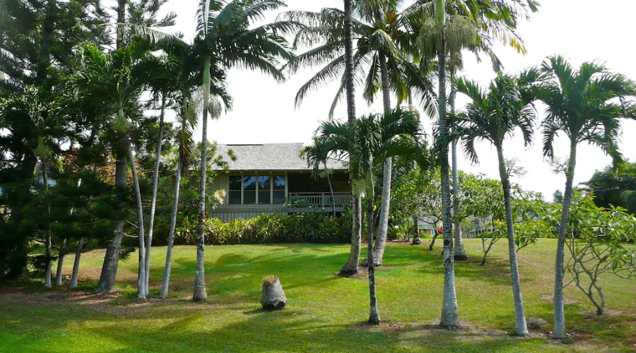 Large Island-Style Family Home