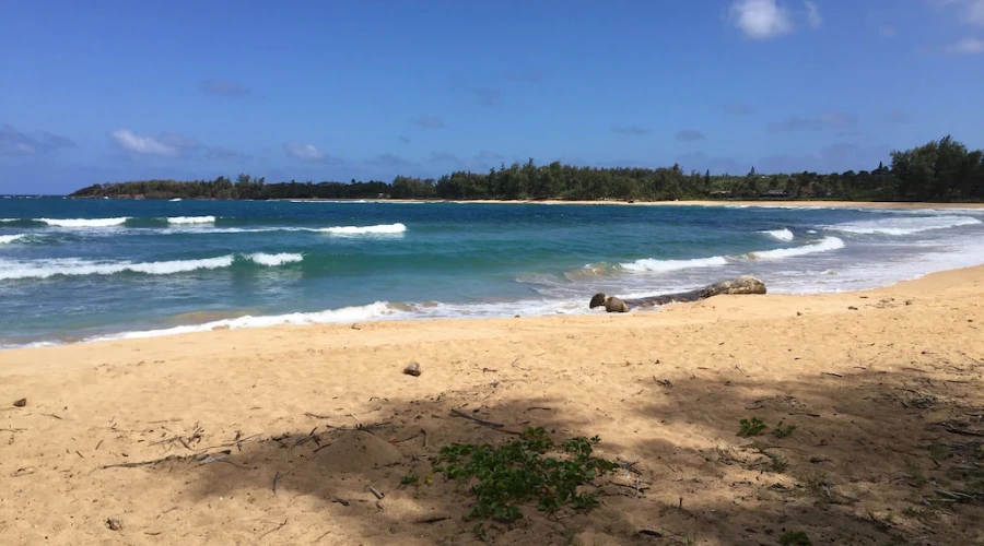 Oceanfront Two Bedroom Condo