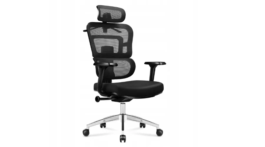 Ergonomic office chair Mark