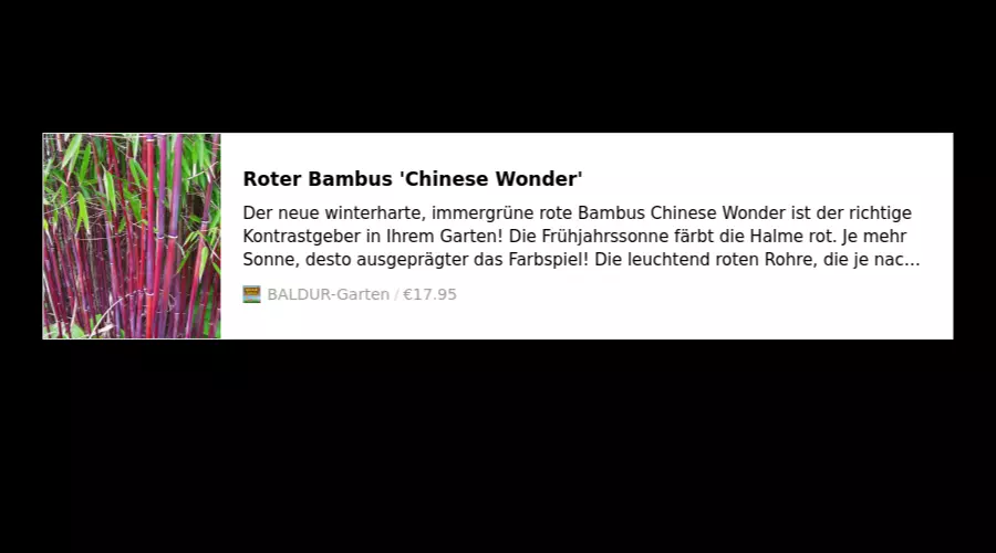 Roter Bambus 'Chinese Wonder'