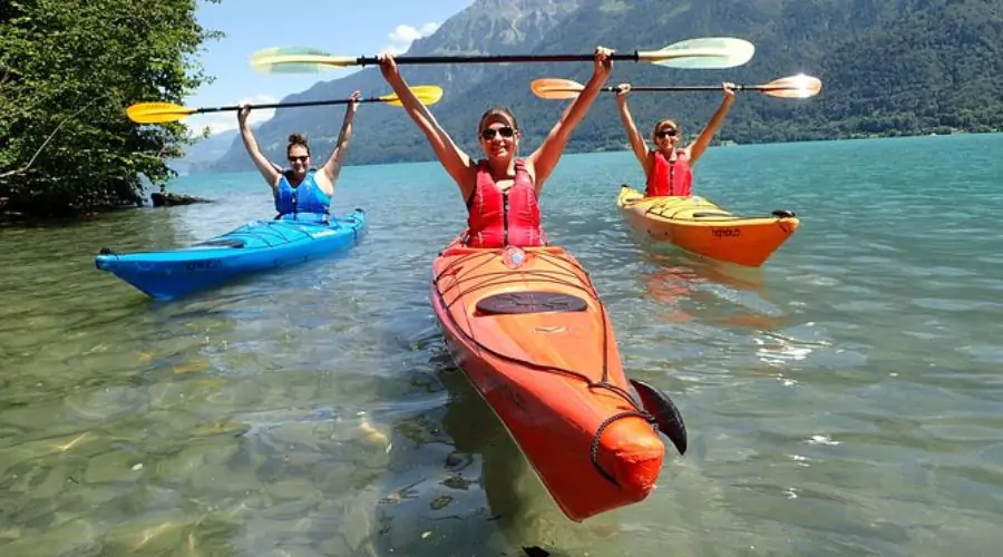 Kayak Tours