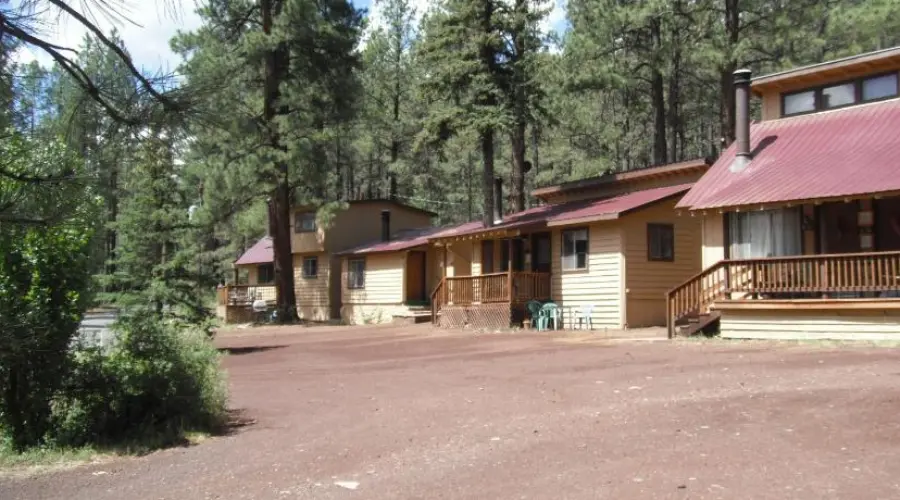Greer Point Trails and Cabins