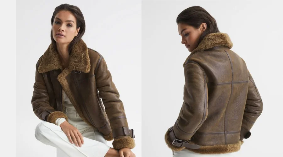 Aviator Leather Jacket in Brown