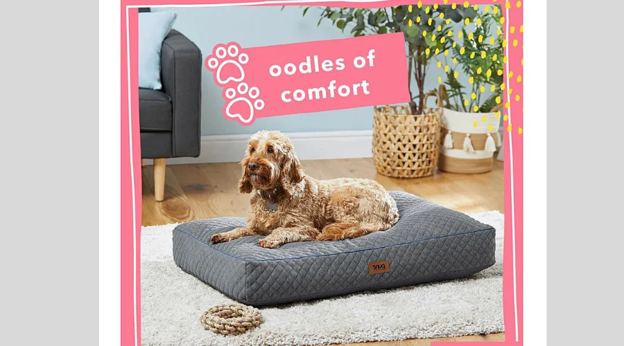 Eco-Friendly Pet Bed