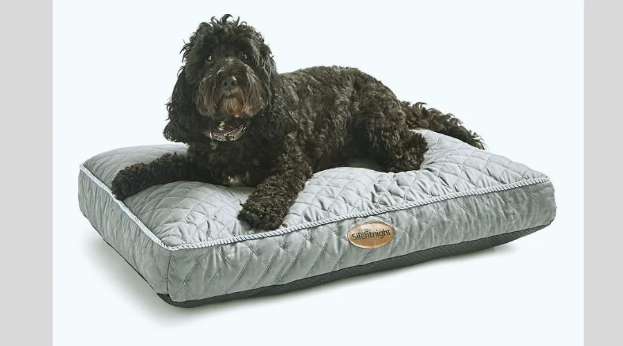 Ultra-Bounce SilentNight Dog Bed