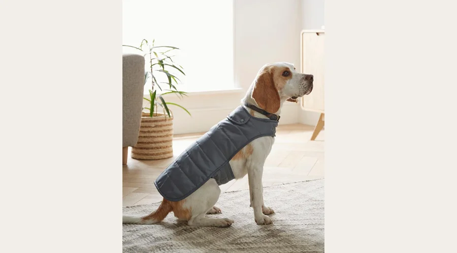 Water Resistant Wax Finish Quilted Pet Coat