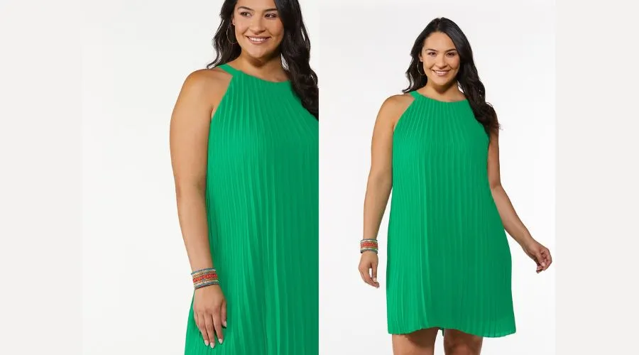 Plus Size Pleated Swing Dress