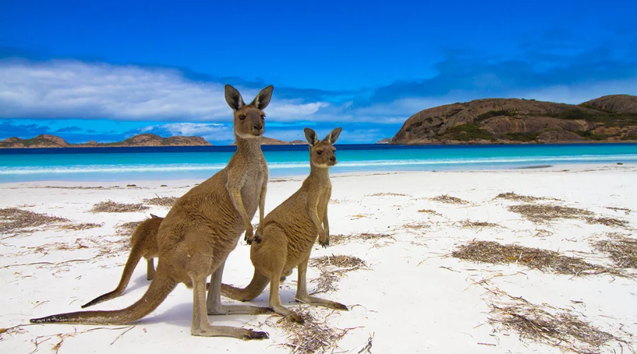 Kangaroo Island 
