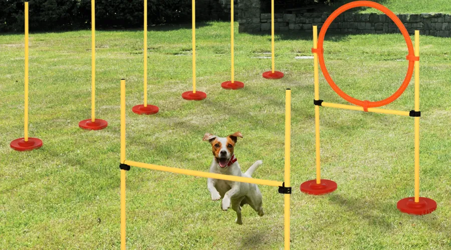 Pawhut Portable Pet Agility Training Obstacle Set 