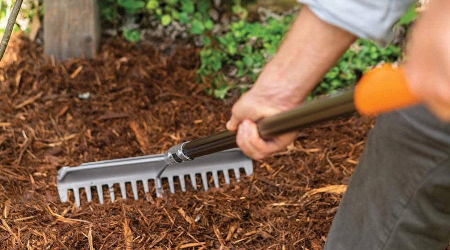 weed removal tool