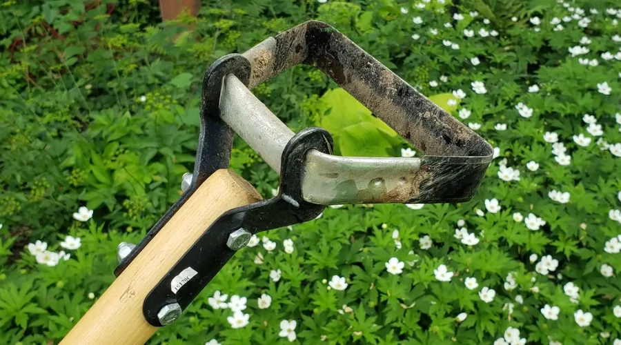 weed removal tool