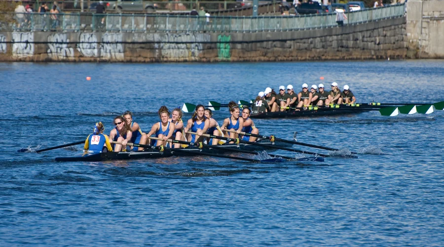 The Head of the Charles Regatta