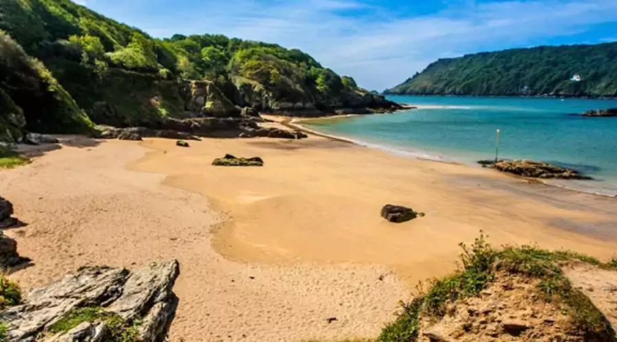 Salcombe Beaches