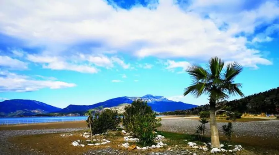 Relax on the Iztuzu seashore