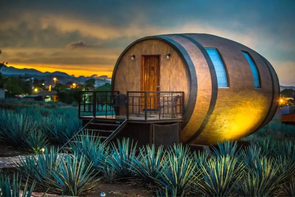 Discover The Best Hotels in Tequila Jalisco – Your Ultimate Guide