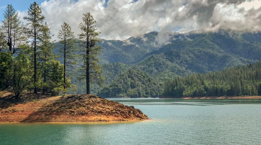 Lake Front on Shasta Lake 