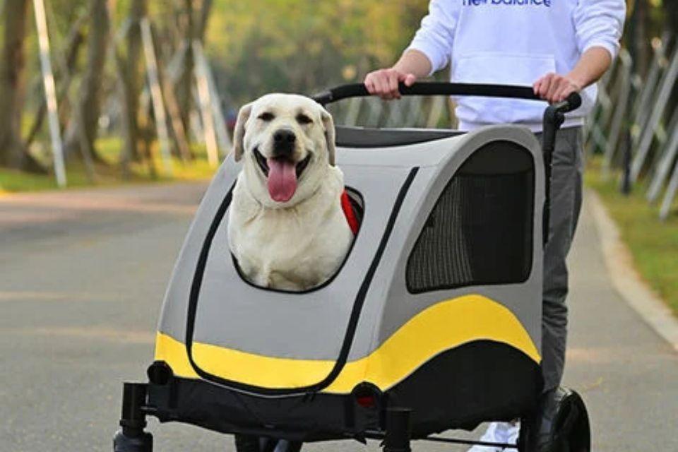 dogs in pushchairs