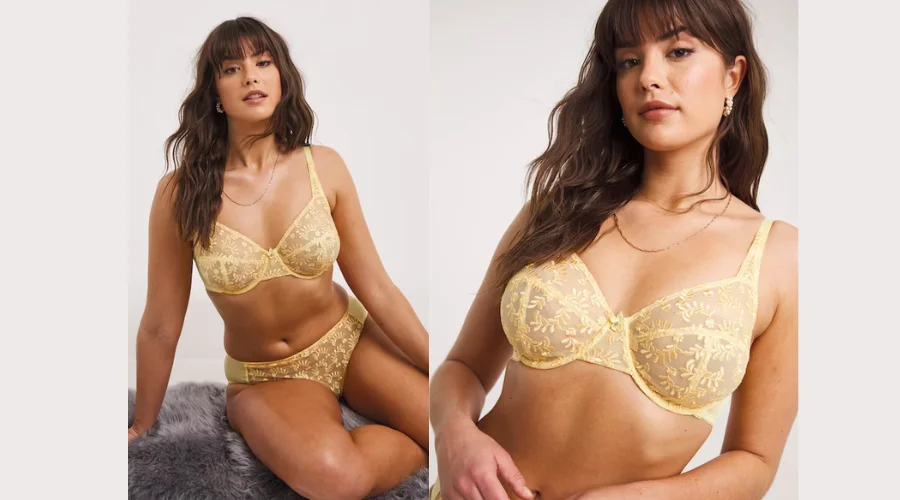 Lesley Everyday Full Cup All Over Embroidered Bras