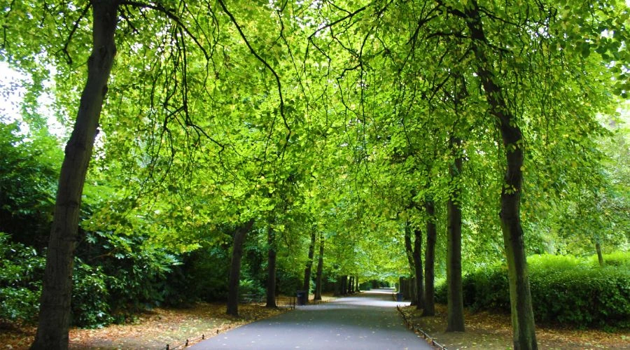 Take a stroll through St. Stephens Green 