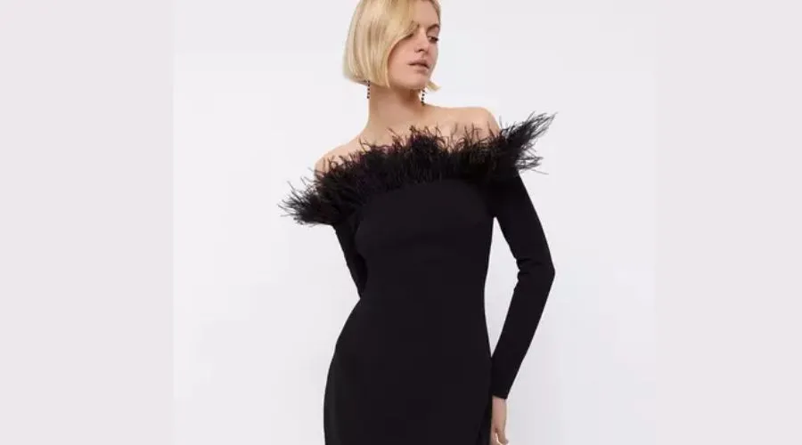 Coast Bodycon Crepe Feather Bardot Dress 