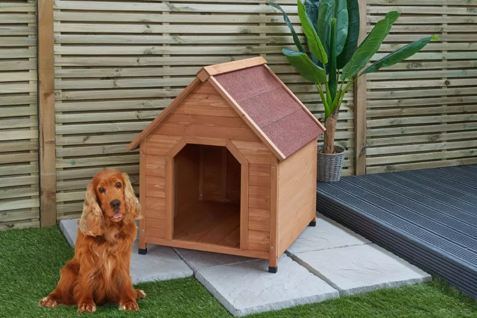 kennels for dogs