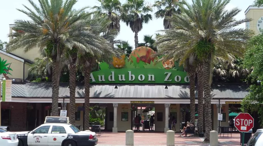 The Audubon Zoo