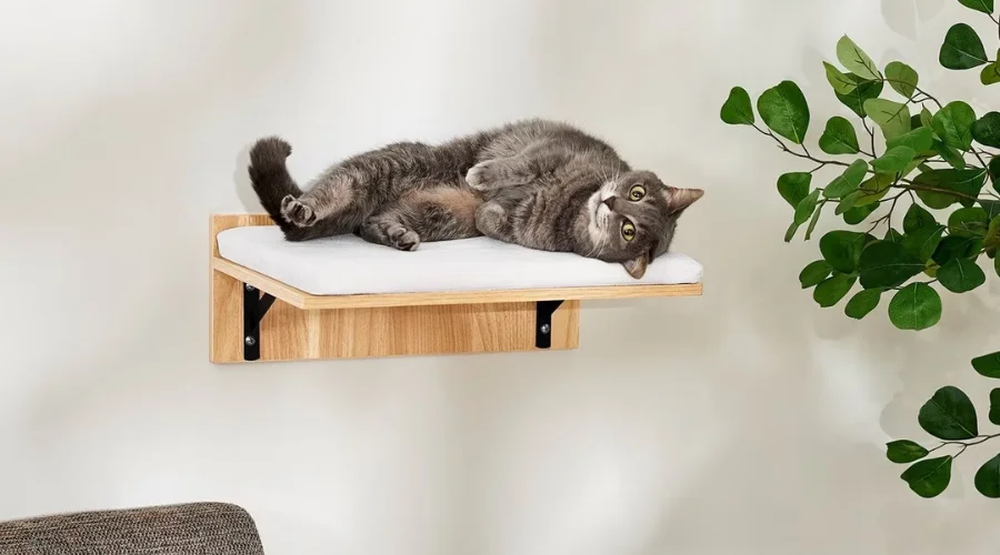 Frisco Cushioned Wall Mounted Cat Wall Shelf