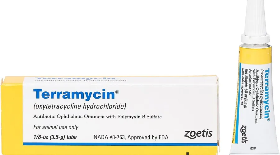 Terramycin ophthalmic ointment for dogs, cats & horses, 3.5-G | Celebzero