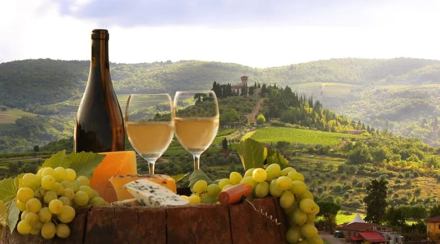 What to Expect on a Tuscany Wine Tour