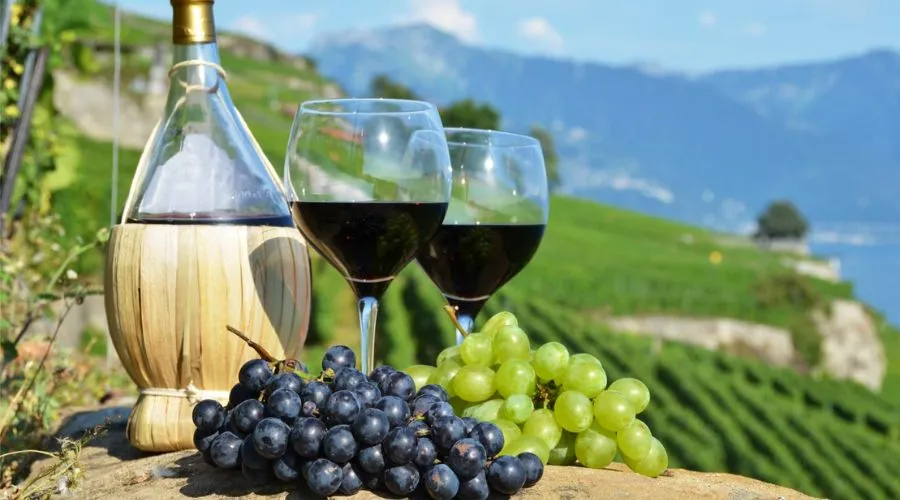 Why Tuscany for Wine Tours