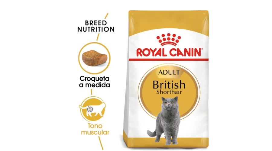 Royal Canin Adult British Shorthair Cat Food | Celebzero