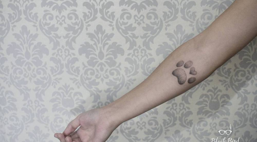 dog paw tattoos