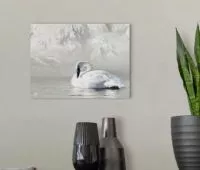 black & white wall art