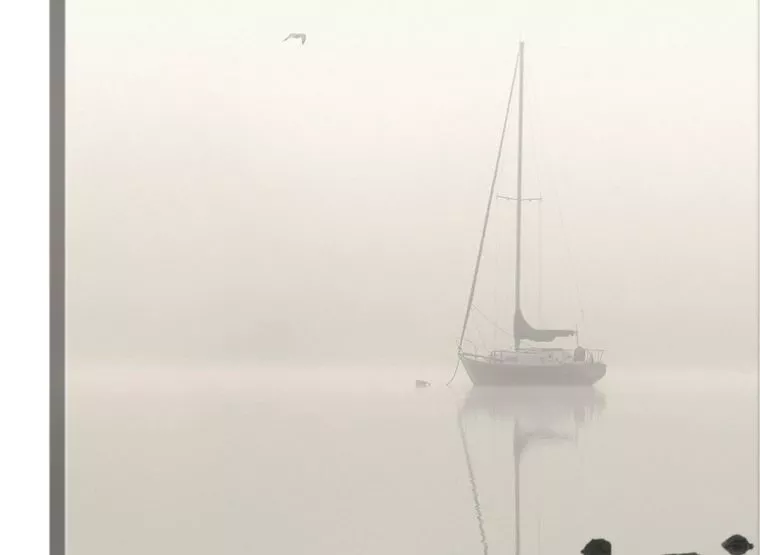 black & white wall art