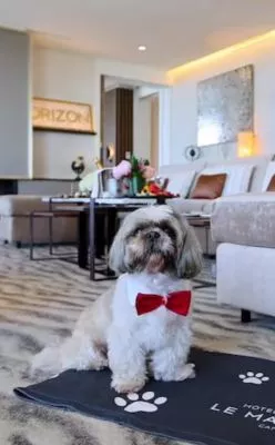 package travel deals